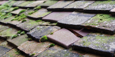 Capel Mawr roof repair costs